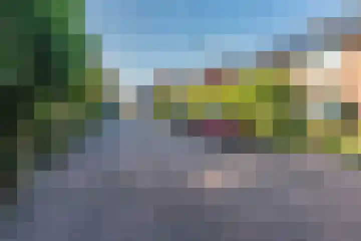 Frankenlaan 39 Tilburg thumbnail 52