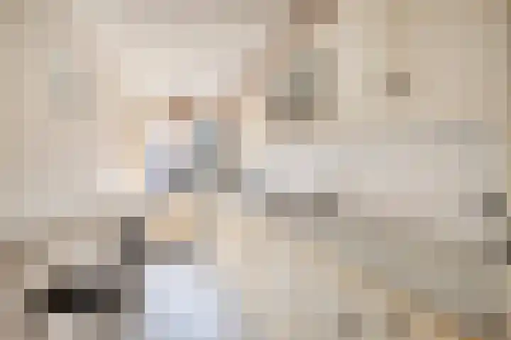 Frankenlaan 6 Prinsenbeek thumbnail 10