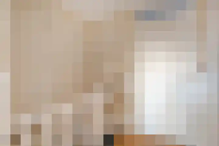 Frankenlaan 6 Prinsenbeek thumbnail 11