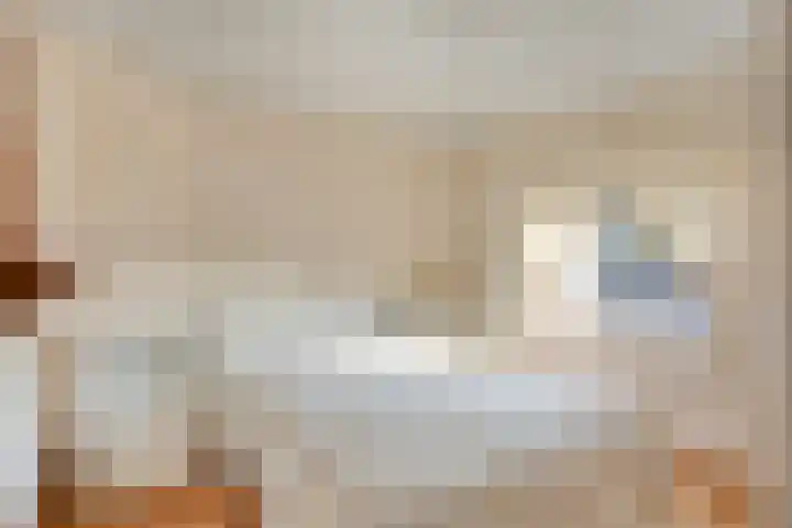 Frankenlaan 6 Prinsenbeek thumbnail 12