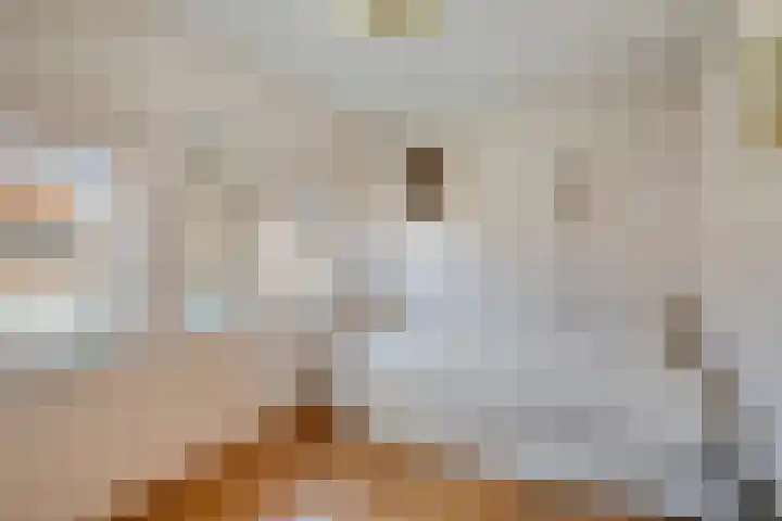 Frankenlaan 6 Prinsenbeek thumbnail 14