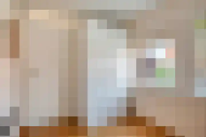 Frankenlaan 6 Prinsenbeek thumbnail 15