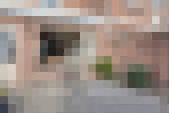 Frankenlaan 6 Prinsenbeek thumbnail 19