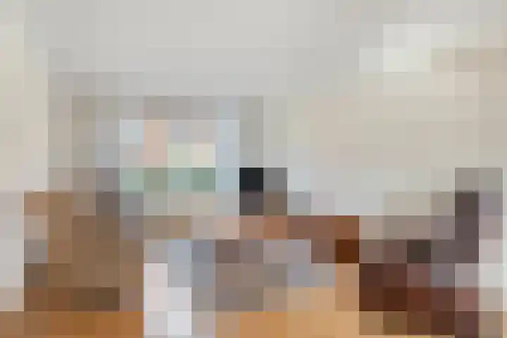 Frankenlaan 6 Prinsenbeek thumbnail 7