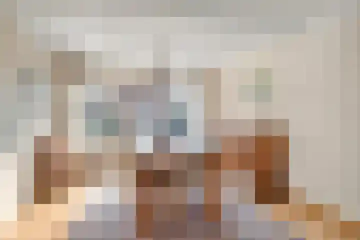 Frankenlaan 6 Prinsenbeek thumbnail 8