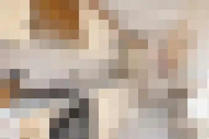 Frankenlaan 6 Prinsenbeek thumbnail 9