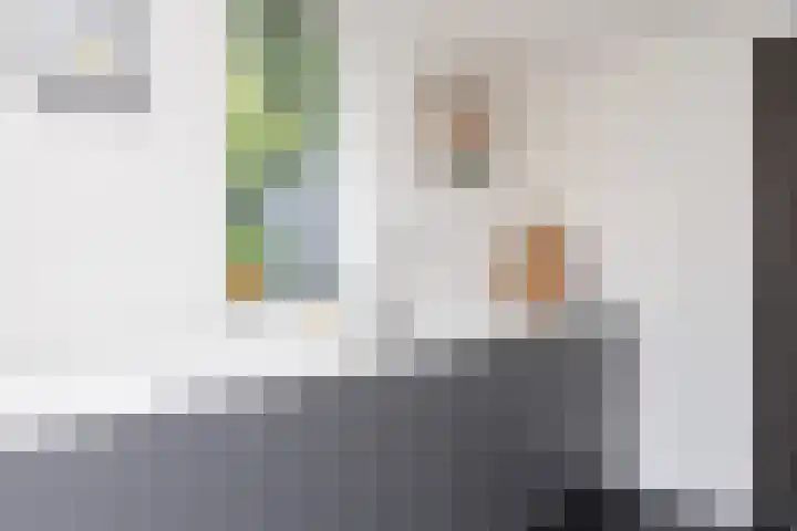 Frankenlaan 75 Tilburg thumbnail 20