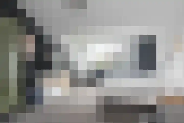 Frankenlaan 75 Tilburg thumbnail 39