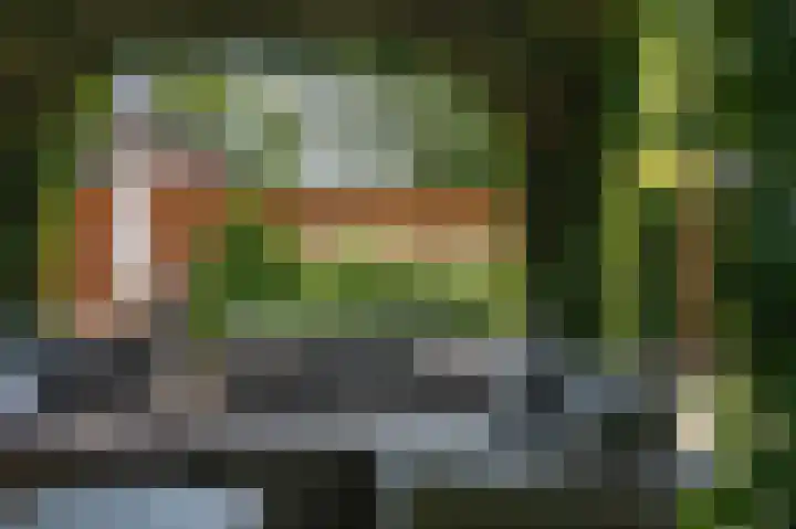 Frankenlaan 75 Tilburg thumbnail 53