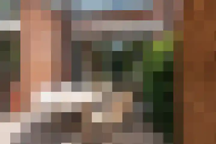 Frankenlaan 75 Tilburg thumbnail 56