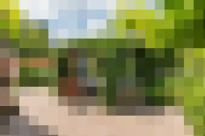 Frankenlaan 75 Tilburg thumbnail 58