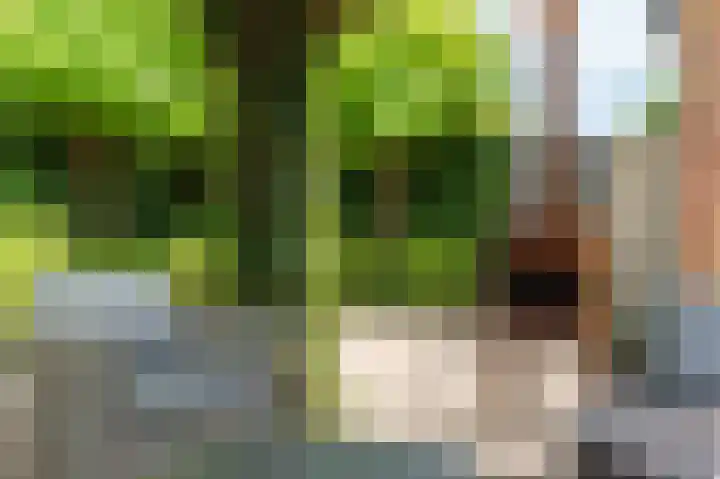 Frankenlaan 75 Tilburg thumbnail 59