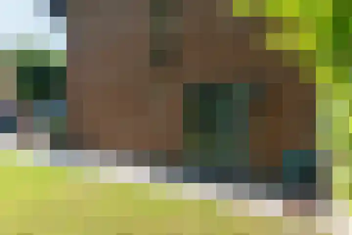 Frankenlaan 75 Tilburg thumbnail 6