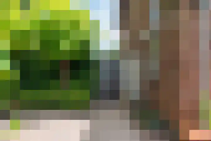 Frankenlaan 75 Tilburg thumbnail 60