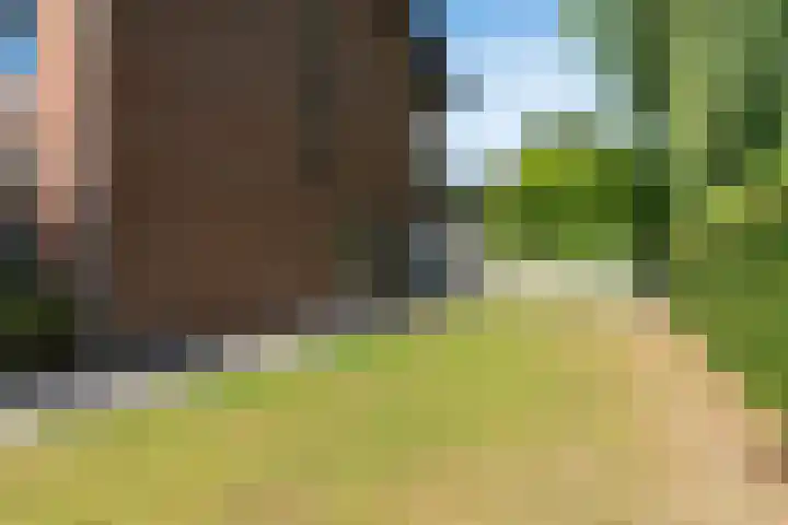 Frankenlaan 75 Tilburg thumbnail 61