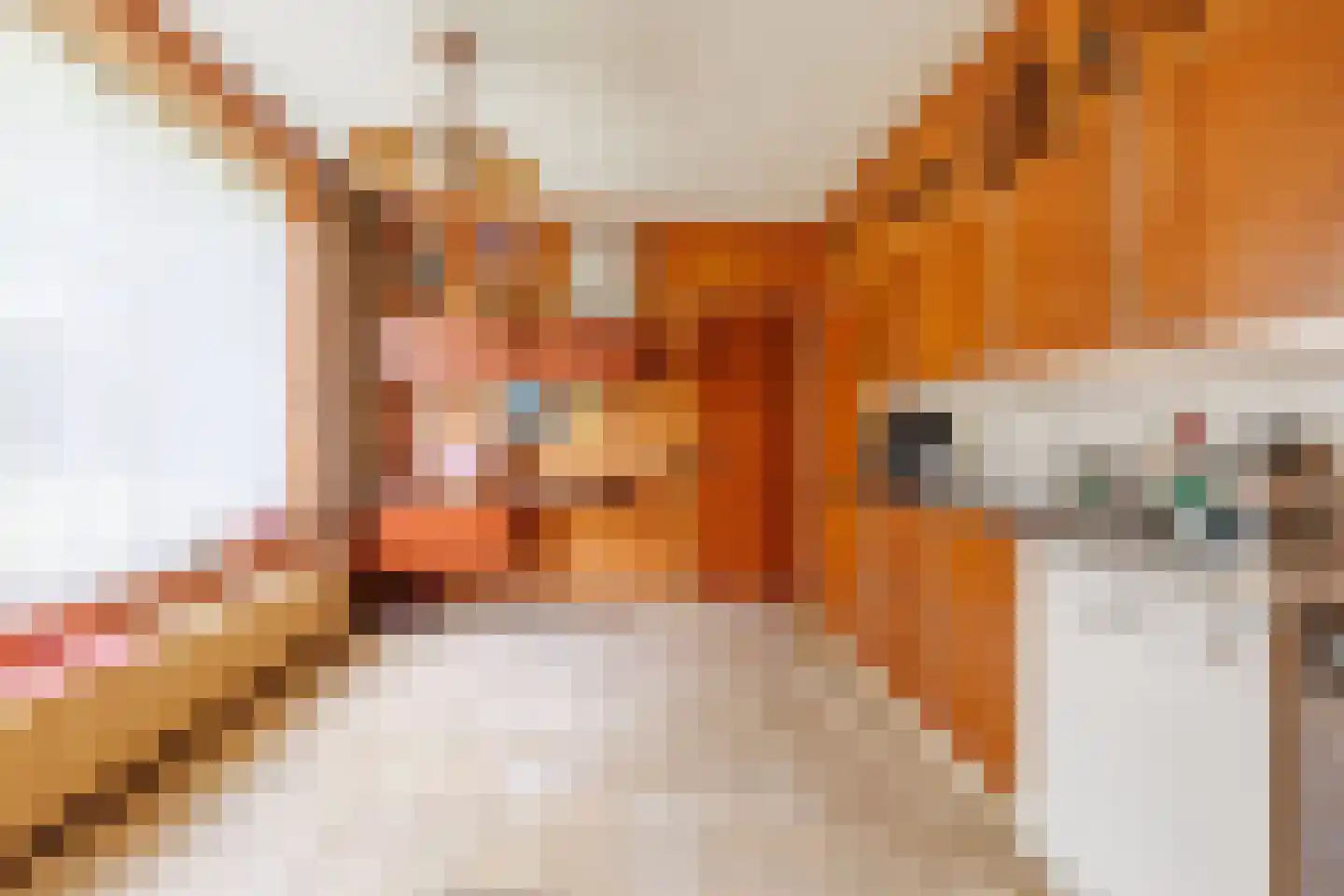 Frankenlaan 9 Apeldoorn thumbnail 12