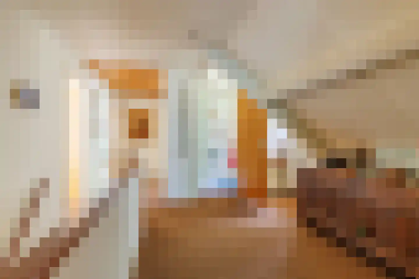 Frankenlaan 9 Apeldoorn thumbnail 25