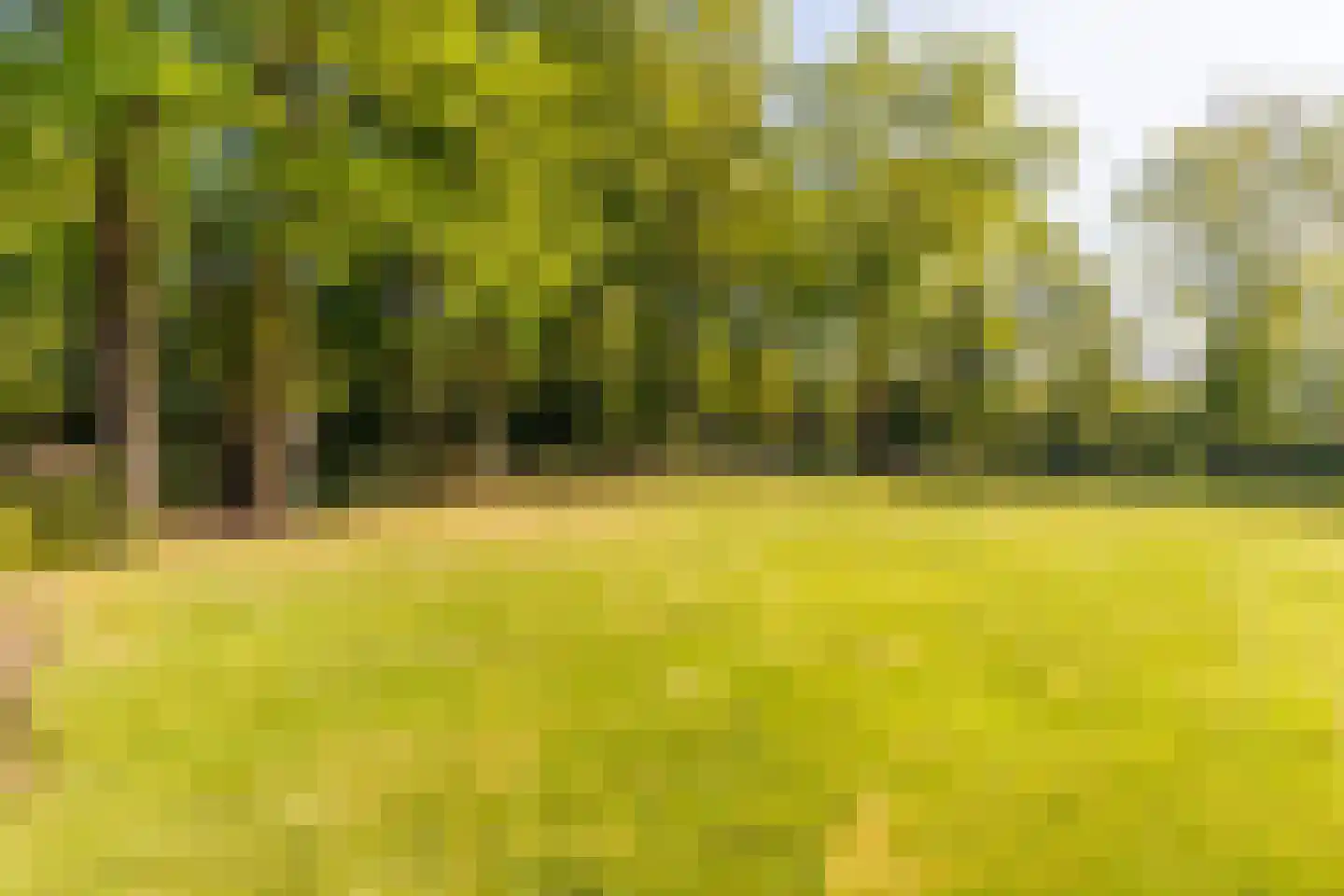 Frankenlaan 9 Apeldoorn thumbnail 32