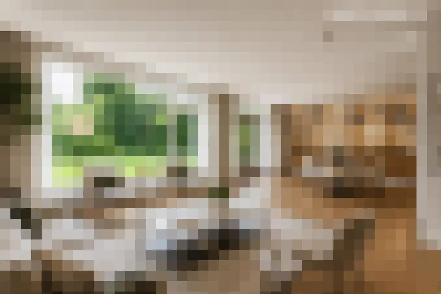 Frankenlaan 9 Apeldoorn thumbnail 4
