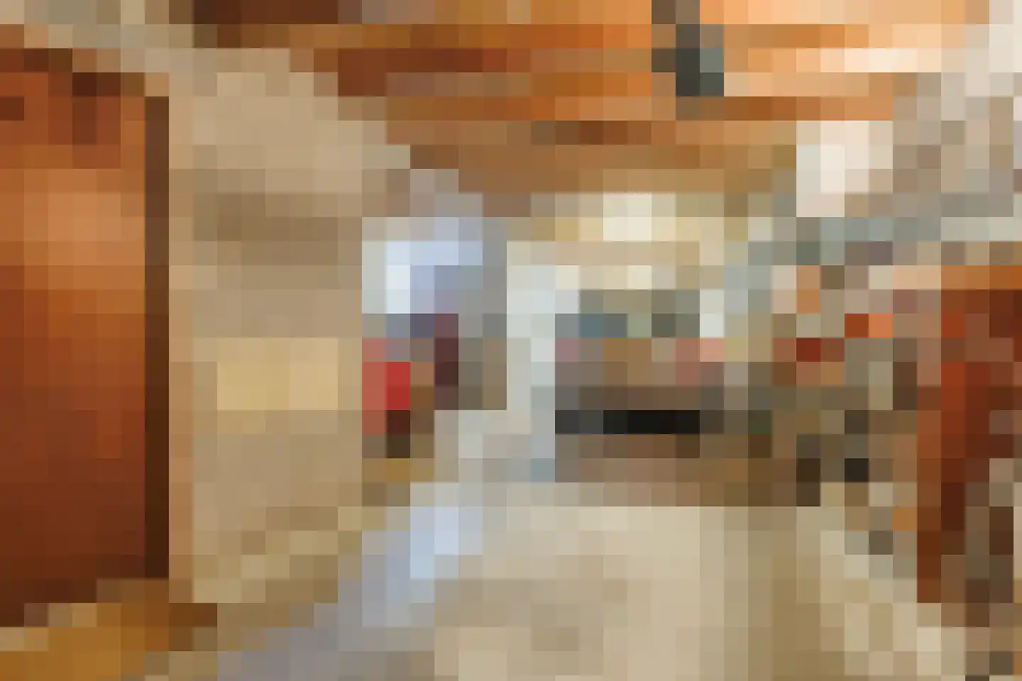 Frankenlaan 9 Apeldoorn thumbnail 47