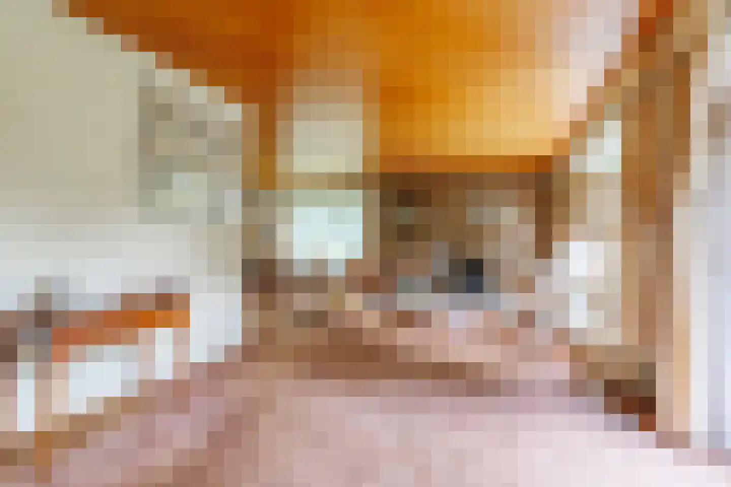 Frankenlaan 9 Apeldoorn thumbnail 6