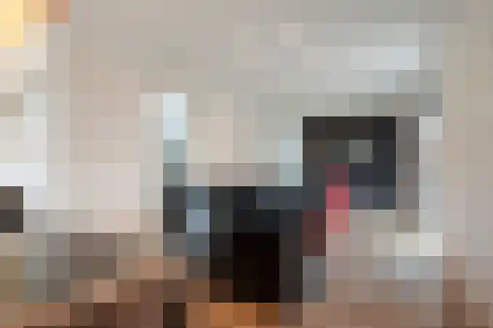 Frankenlaan 9 Sittard thumbnail 14