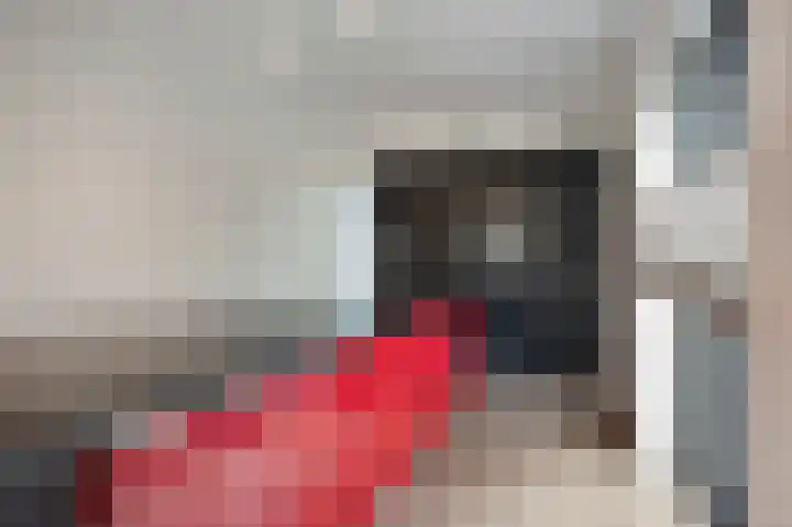 Frankenlaan 9 Sittard thumbnail 15