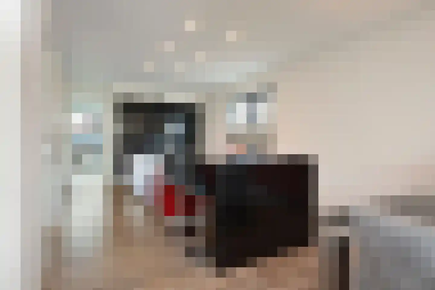 Frankenlaan 9 Sittard thumbnail 21