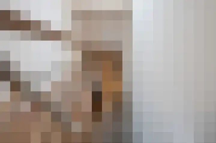 Frankenlaan 9 Sittard thumbnail 28