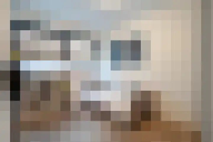 Frankenlaan 9 Sittard thumbnail 35