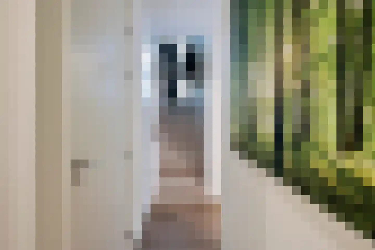 Frankenlaan 9 Sittard thumbnail 39