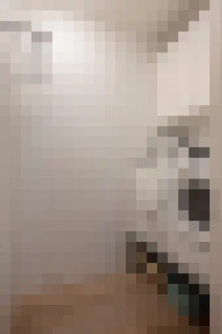 Frankenlaan 9 Sittard thumbnail 43