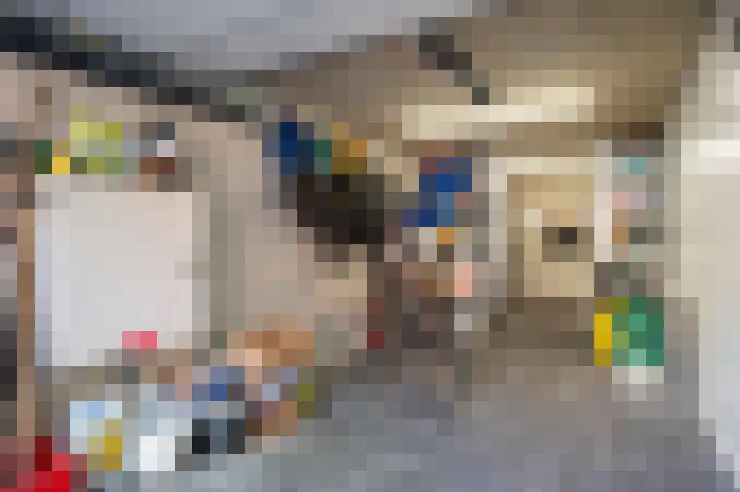 Frankenlaan 9 Sittard thumbnail 51
