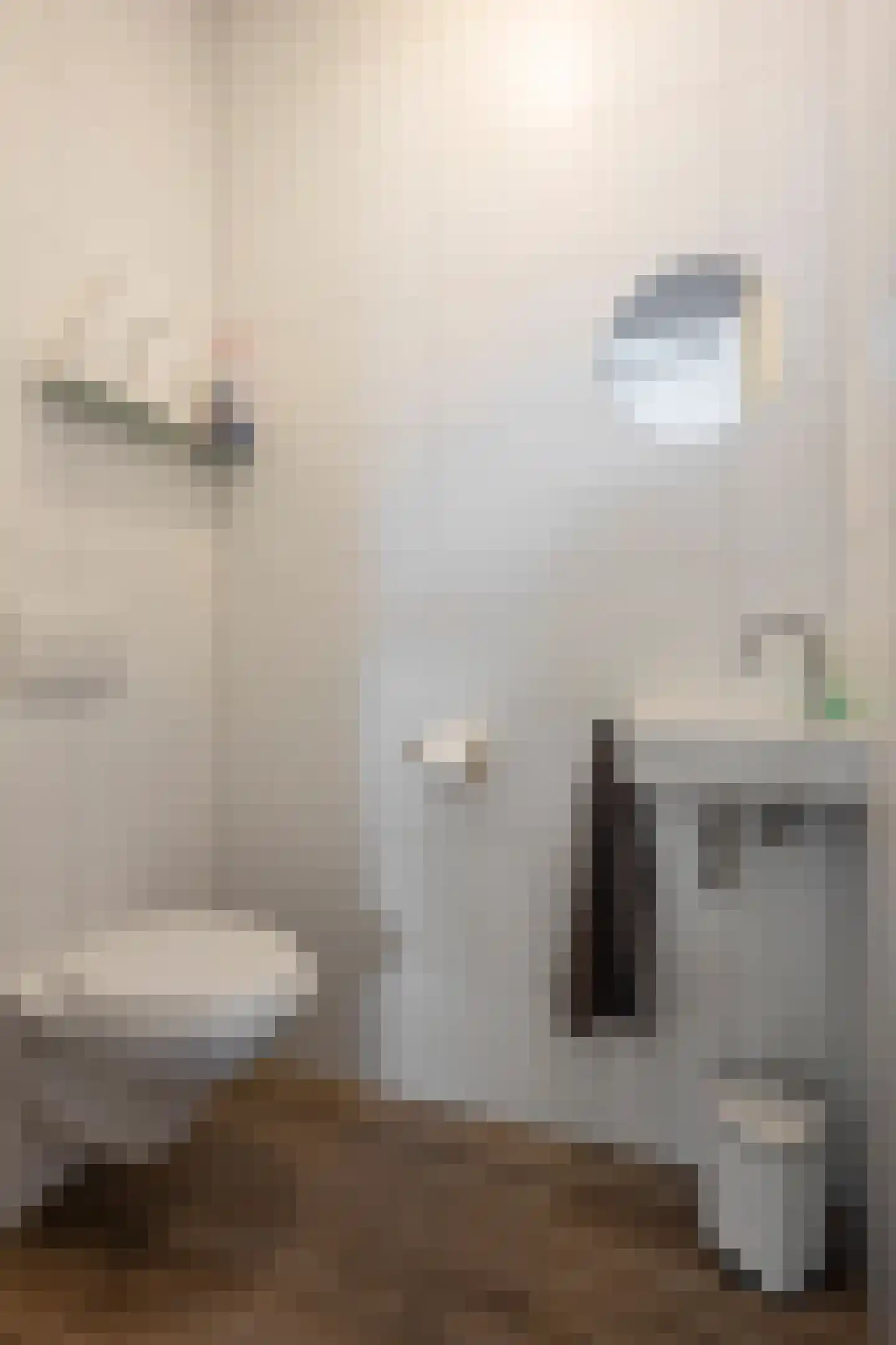 Frankenlaan 9 Sittard thumbnail 9