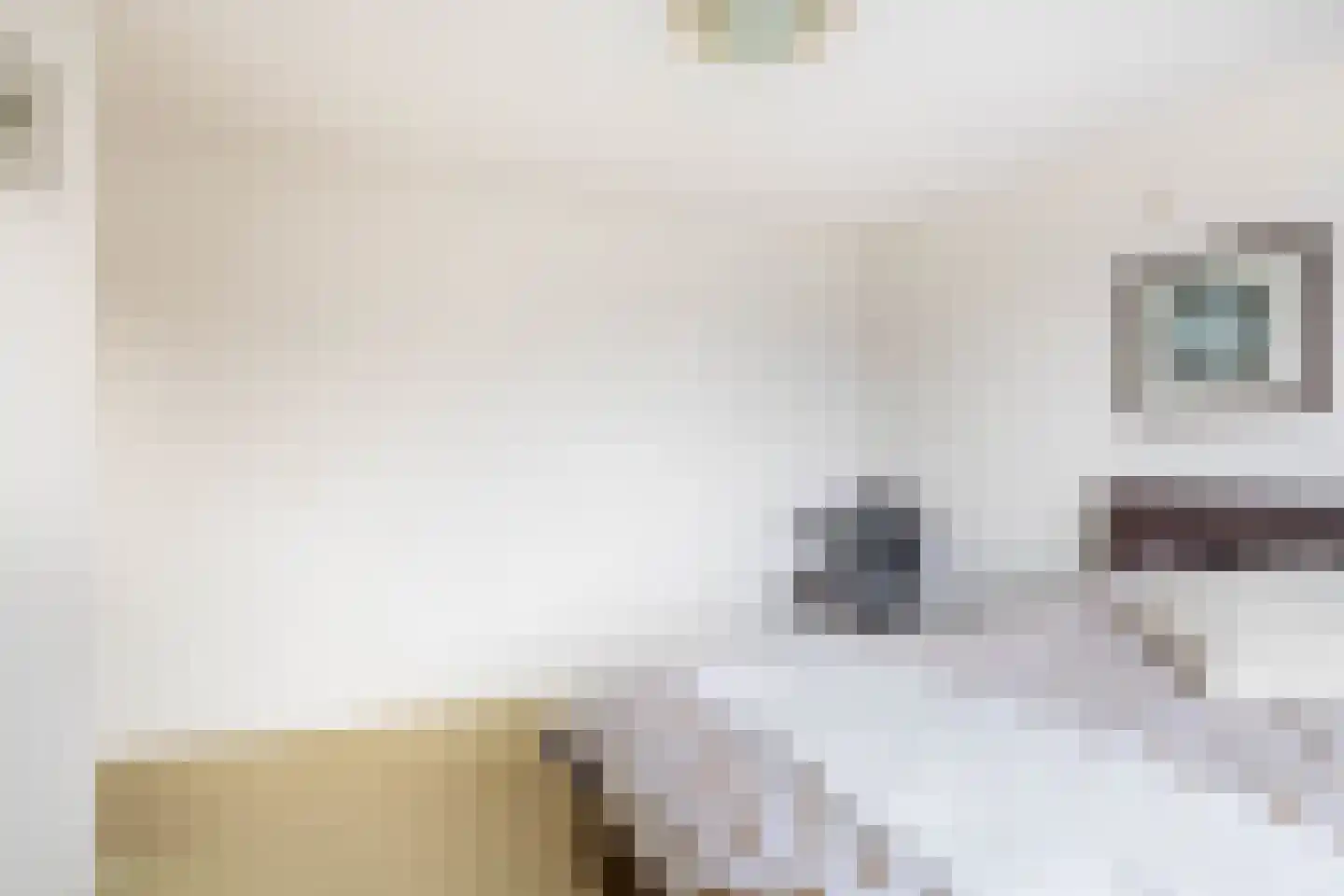 Frankenoord 18 Rotterdam thumbnail 19