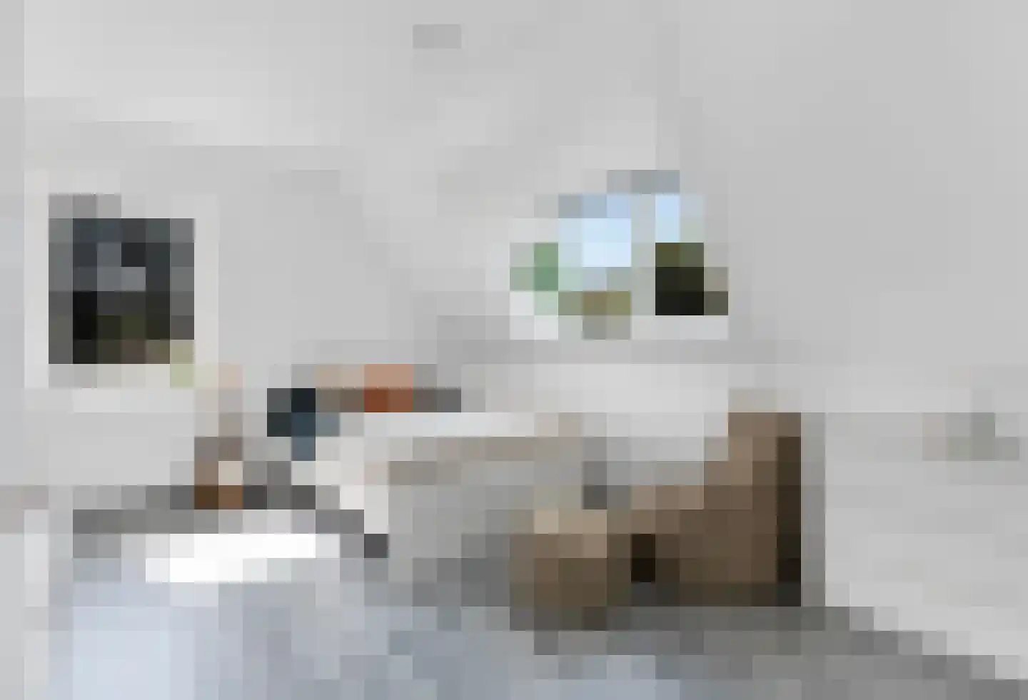 Frankenoord 36 Rotterdam thumbnail 26