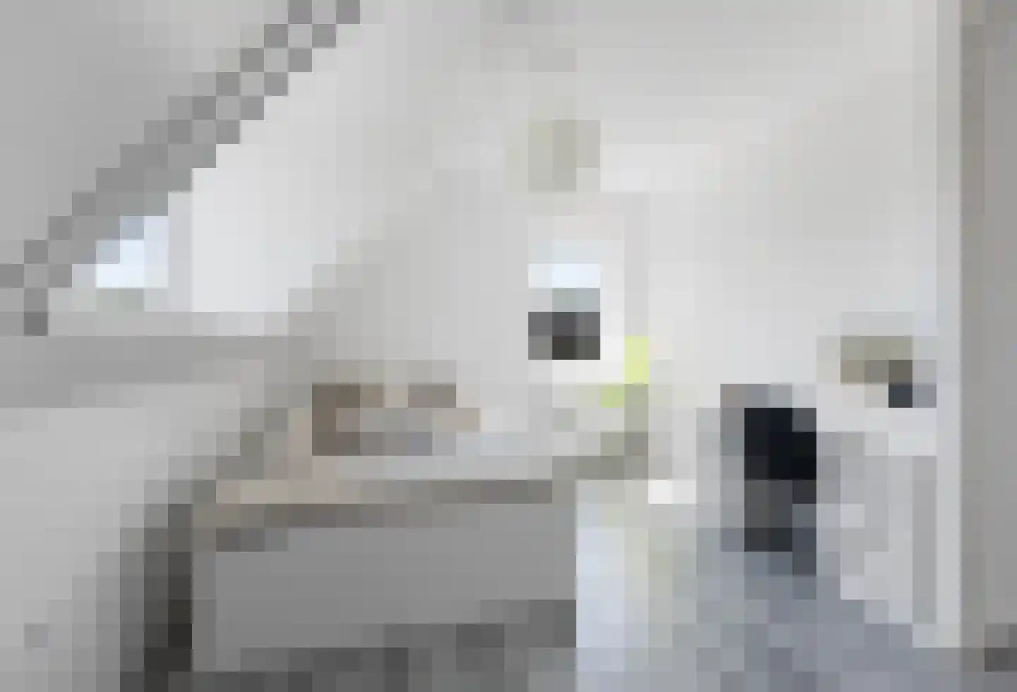 Frankenoord 36 Rotterdam thumbnail 27