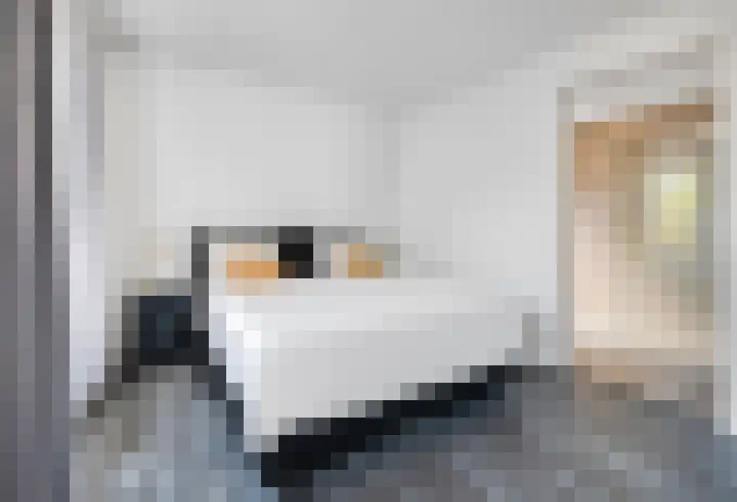 Frankenoord 36 Rotterdam thumbnail 4