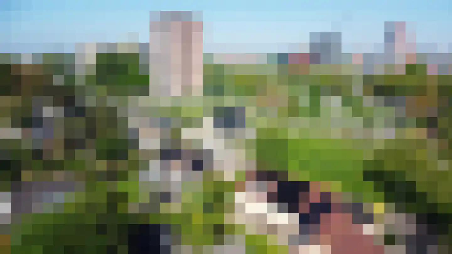 Frankenoord 36 Rotterdam thumbnail 48