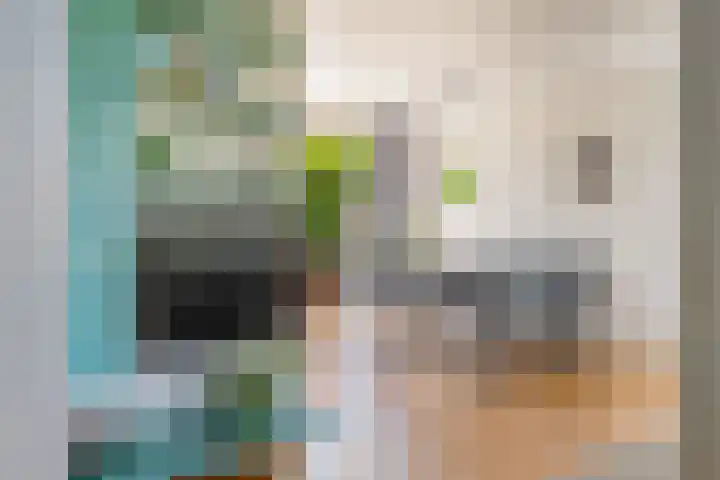 Frankenpoort 30 Houten thumbnail 13