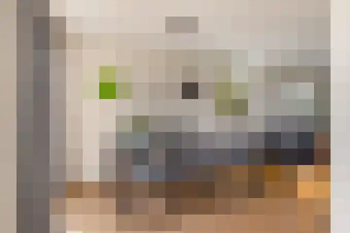 Frankenpoort 30 Houten thumbnail 14