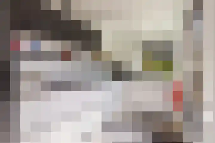 Frankenpoort 30 Houten thumbnail 19