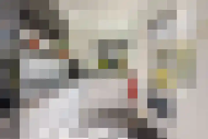 Frankenpoort 30 Houten thumbnail 21