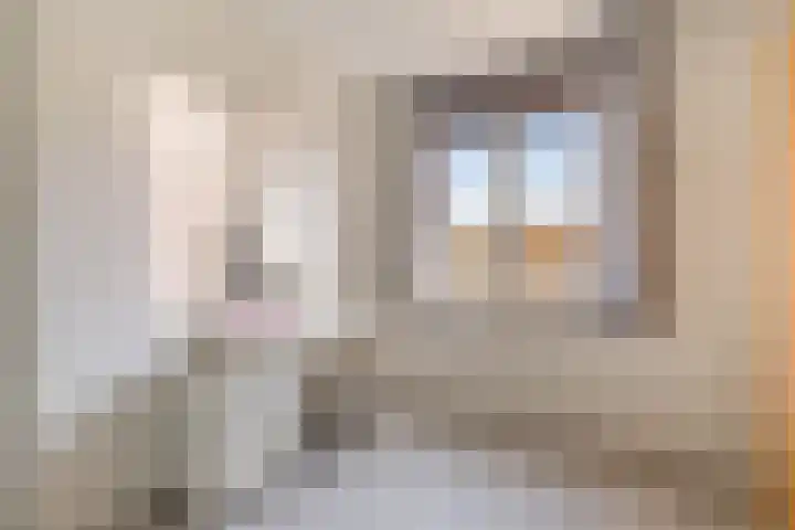 Frankenpoort 30 Houten thumbnail 36