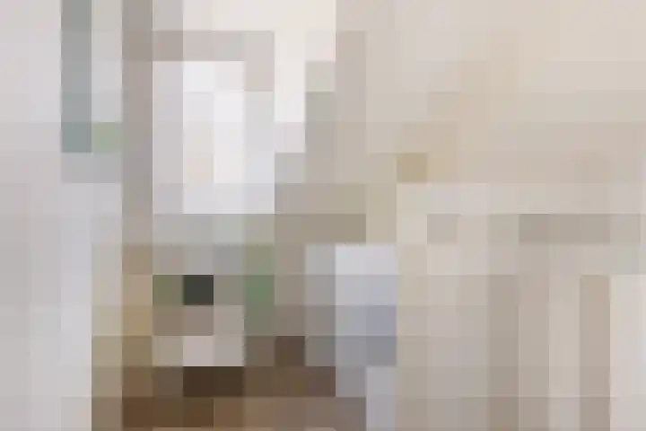 Frankenpoort 30 Houten thumbnail 45