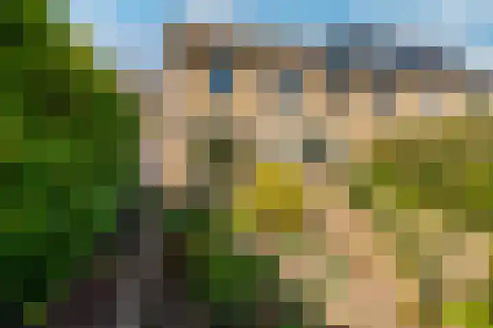 Frankenpoort 30 Houten thumbnail 50