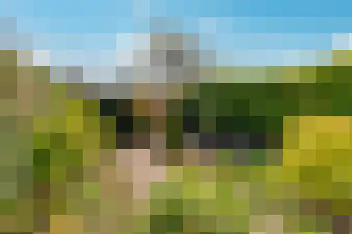 Frankenpoort 30 Houten thumbnail 52