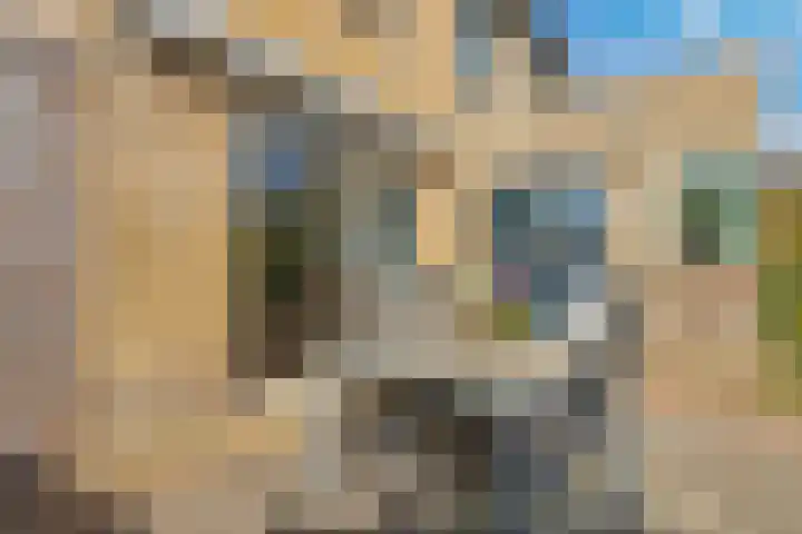 Frankenpoort 30 Houten thumbnail 53