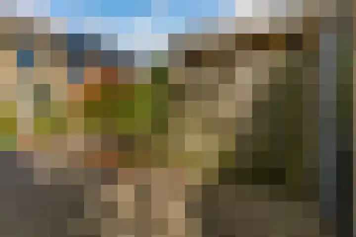 Frankenpoort 30 Houten thumbnail 54