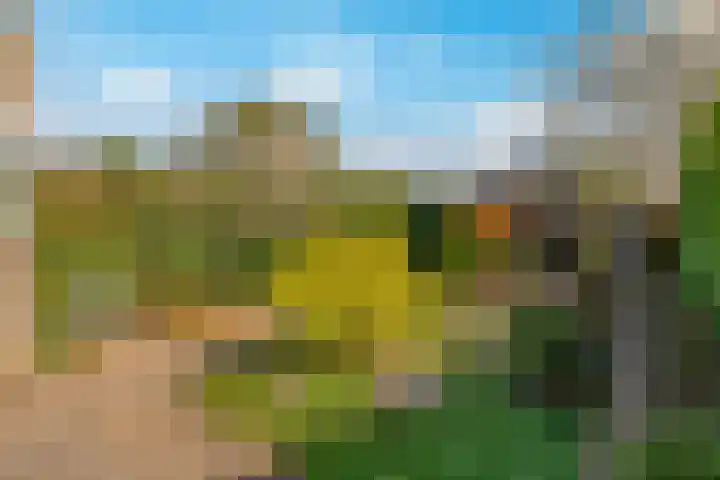 Frankenpoort 30 Houten thumbnail 56